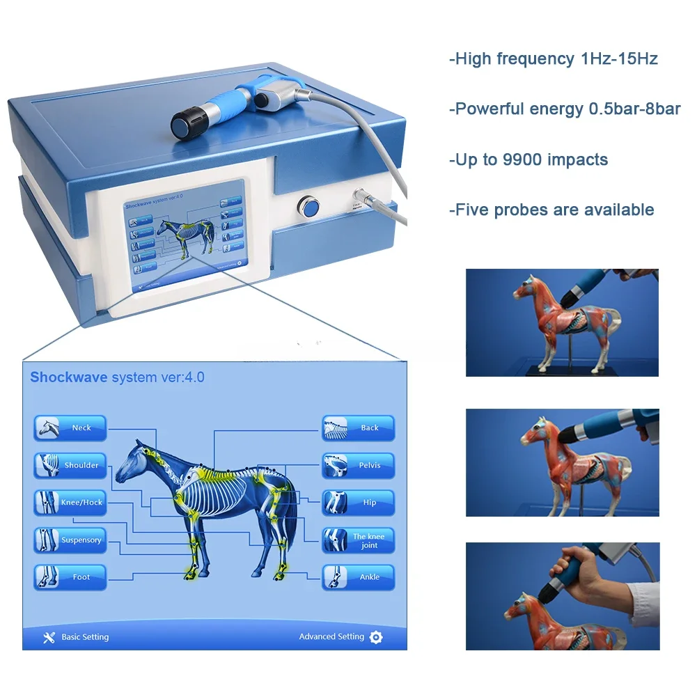 Equine shockwave therapy machine horse shock wave therapy machine  8 bar 21hz 7 pieces applicator heads shock wave for animals