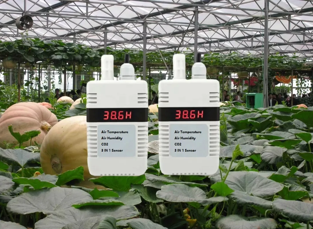 Lufttemperatur und Luftfeuchtigkeit Co2 Drei Parameter 3-in-1-Nixie-Röhrenanzeige Rs485 Wifi Gprs Lora Lorawan Sensortester