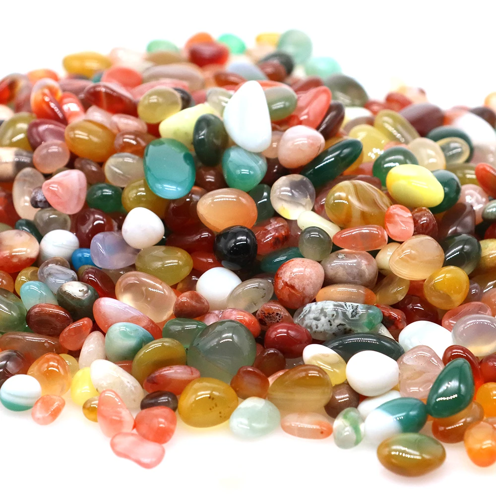 Thumbnail 4 - #33 Trending Decorative Aquarium Plants Right Now