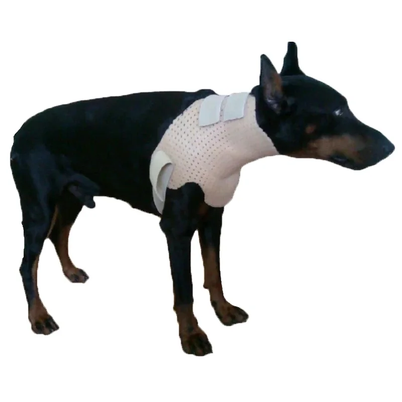 

Comfortable Thermoplastic Splinting Sheet Solutions for Pet Dog Cat Leg Fracture s Therapy