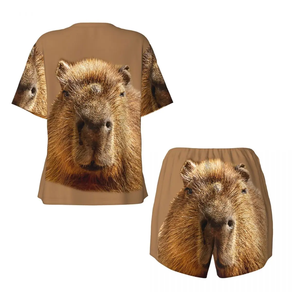 Custom Printed Women Capybara Dozing In The Sunshine Printing Pajamas Set Short Sleeve Sleepwear Loungewear Pjs 2 Piece Sets