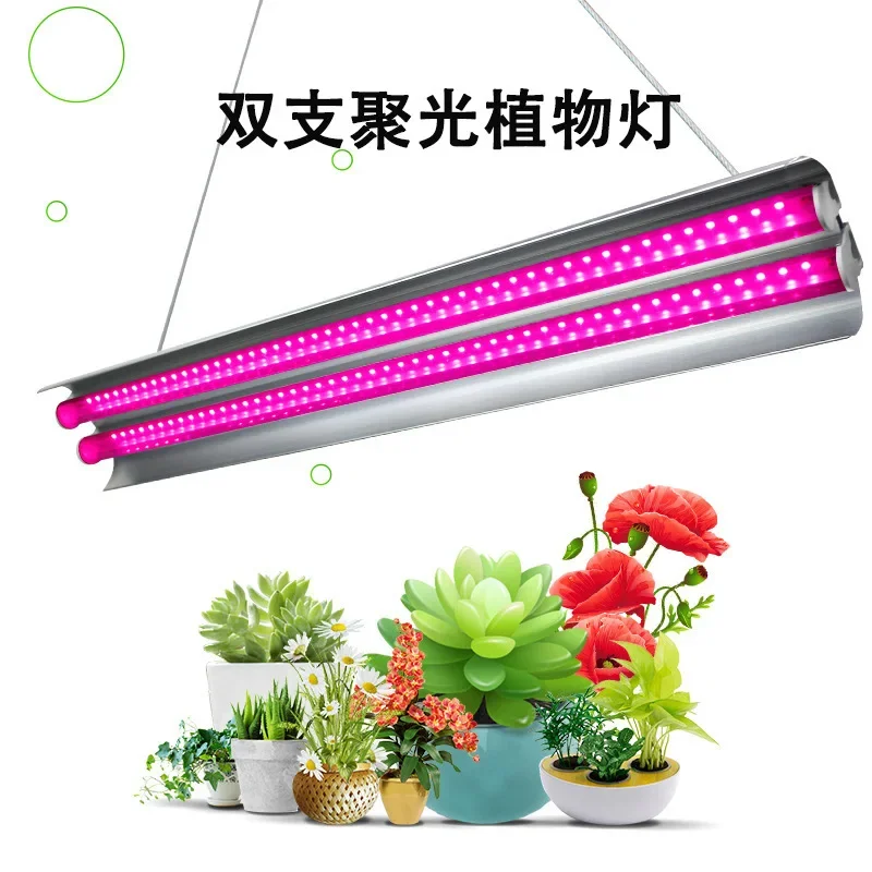 Lampe horticole de croissance LED UV hydroponique, éclairage pour serre/chambre de culture intérieure de plantes et légumes