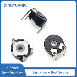 10PCS Spain Trimmer Potentiometer PT10 2K2 5K 10K 20K 50K 100K 200K 500K 2M2 Hexagonal Hole Adjustable Resistor Horizontal 3-Pin
