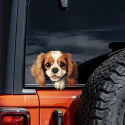 DK113# Cavalier King Charles Spaniel Car Stickers Scratch Covering Self-Adhesive Waterproof Decal Motorcycle Decorative Accessor