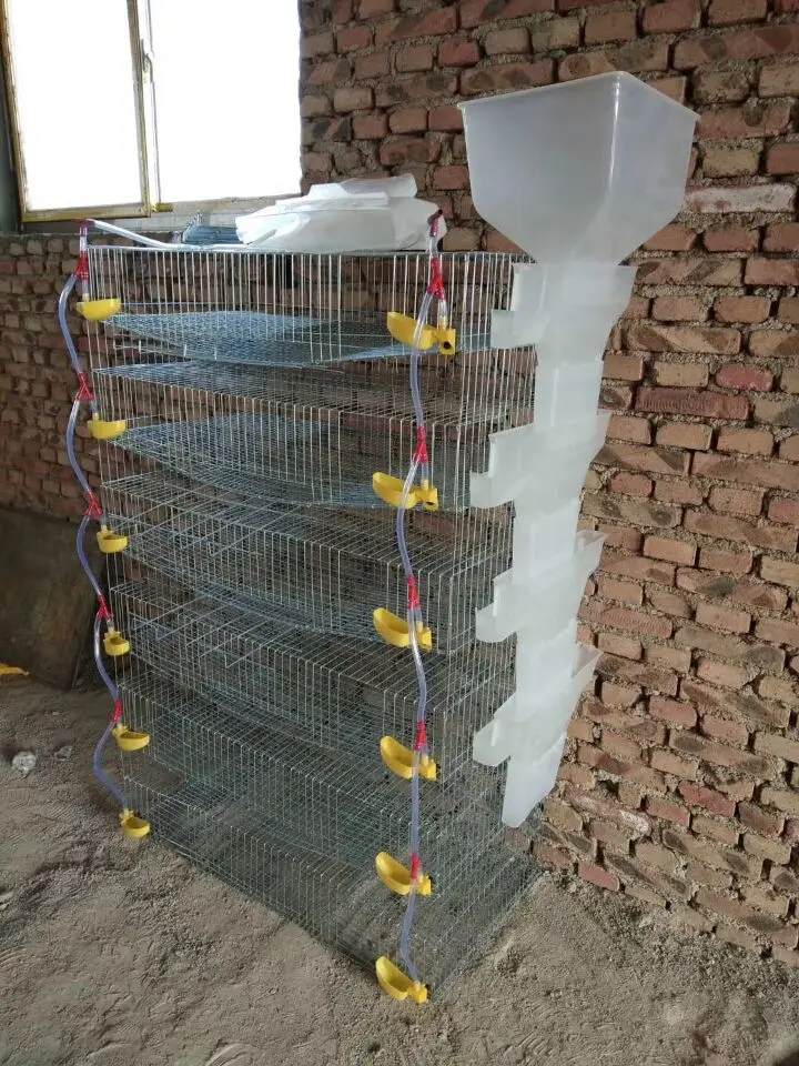 Best Selling Poultry Farm Equipment H Type Quail Cage for Sale with Egg Tray