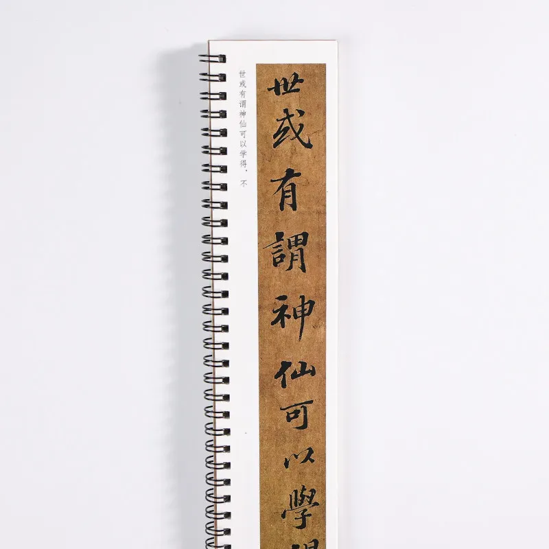 Su Shi Regular Script Calligraphy Copybook of Yangsheng Lun Close-range Enlarge Chinese Characters Cards Learning for Beginners