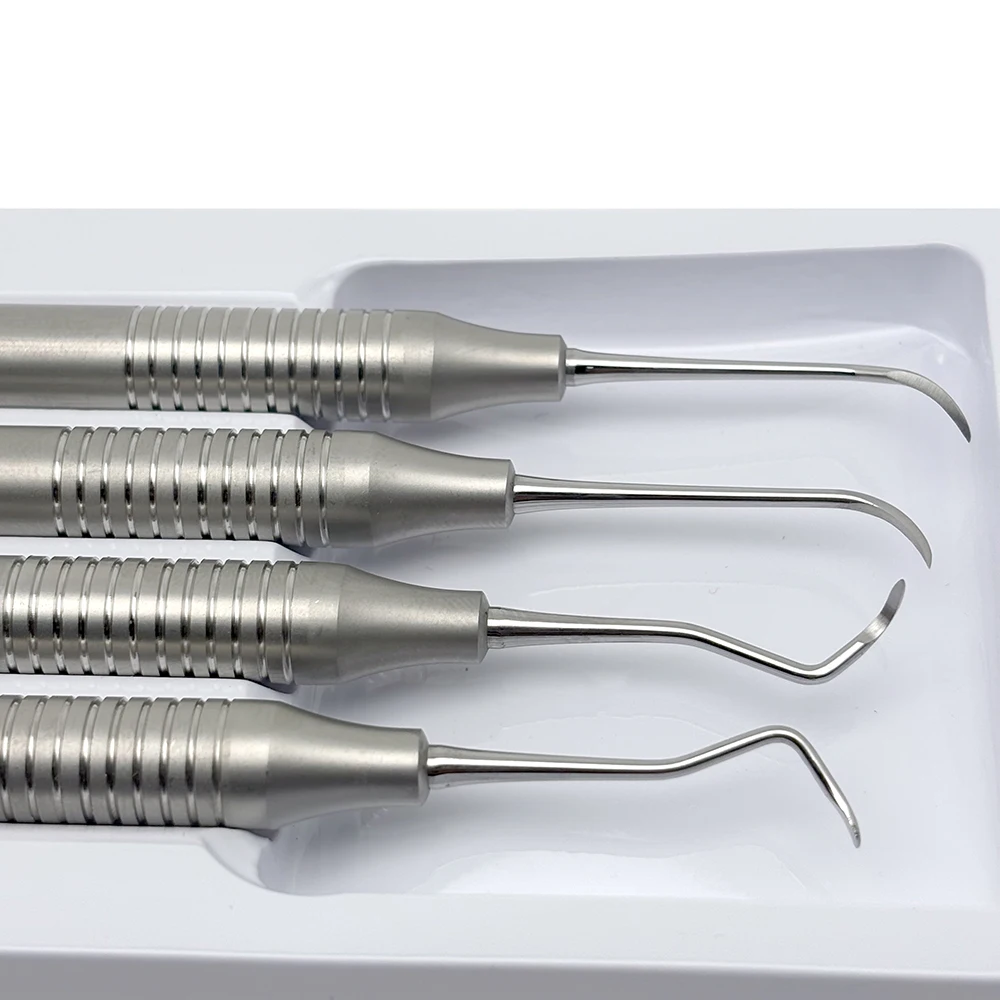 4Pcs Stainless Steel Double-Ended Tooth Scaler Kit - Dental Cleaning & Exam Tool for Hygiene Procedures