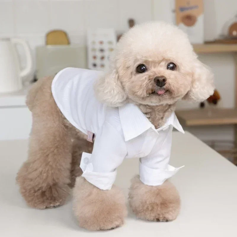 

White Cat Dog Shirt Boy Dog Clothes Wedding Costume Pomeranian Shih Tzu Maltese Poodle Bichon Frise Pet Clothing Apparel White