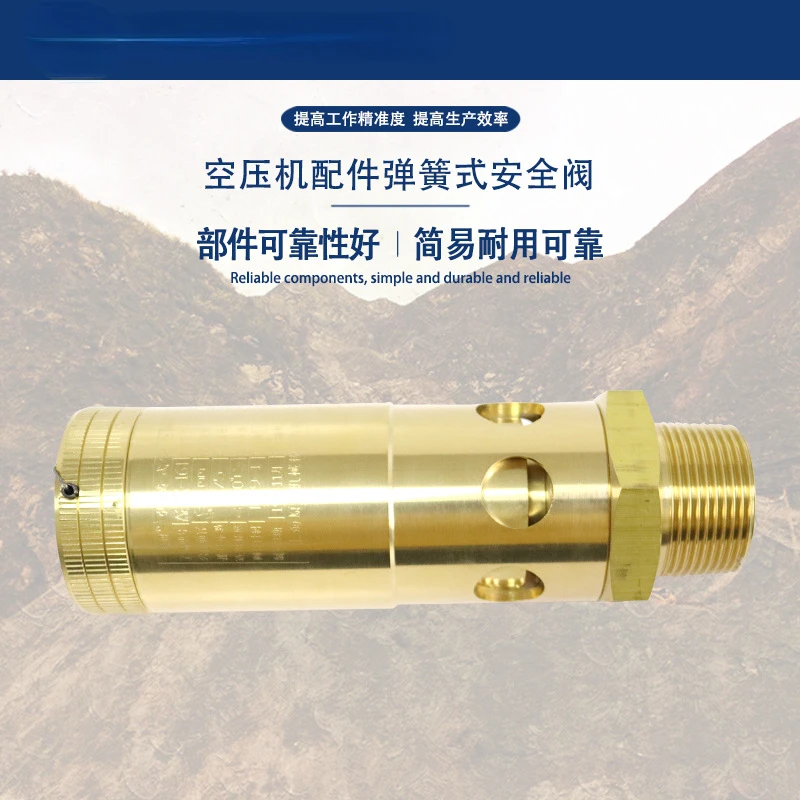 Supply Screw Machine Air Compressor Accessories Direct Spring Loaded Safety Valve Parts Reliability Simple and Durable