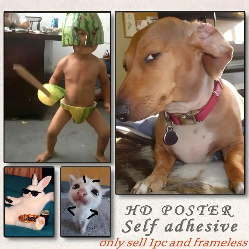 Fantasy Internet Meme Emoji Animal Images Poster Gift with prints Home bedroom living room decoration promotion and display