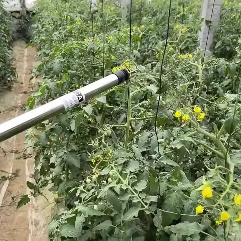 Pollinador eléctrico de tomate, pulverizador de flores de tomate, máquina de inmersión, vibrador, pulverizador de punto, dispositivo de flor de punto polinador