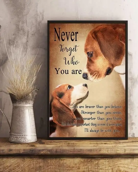 Metal Sign Beagle Never Forget Who You Are Dog Vintage Signs Retro Tin Signs Aluminum Sign for Kitchen Family Home Door