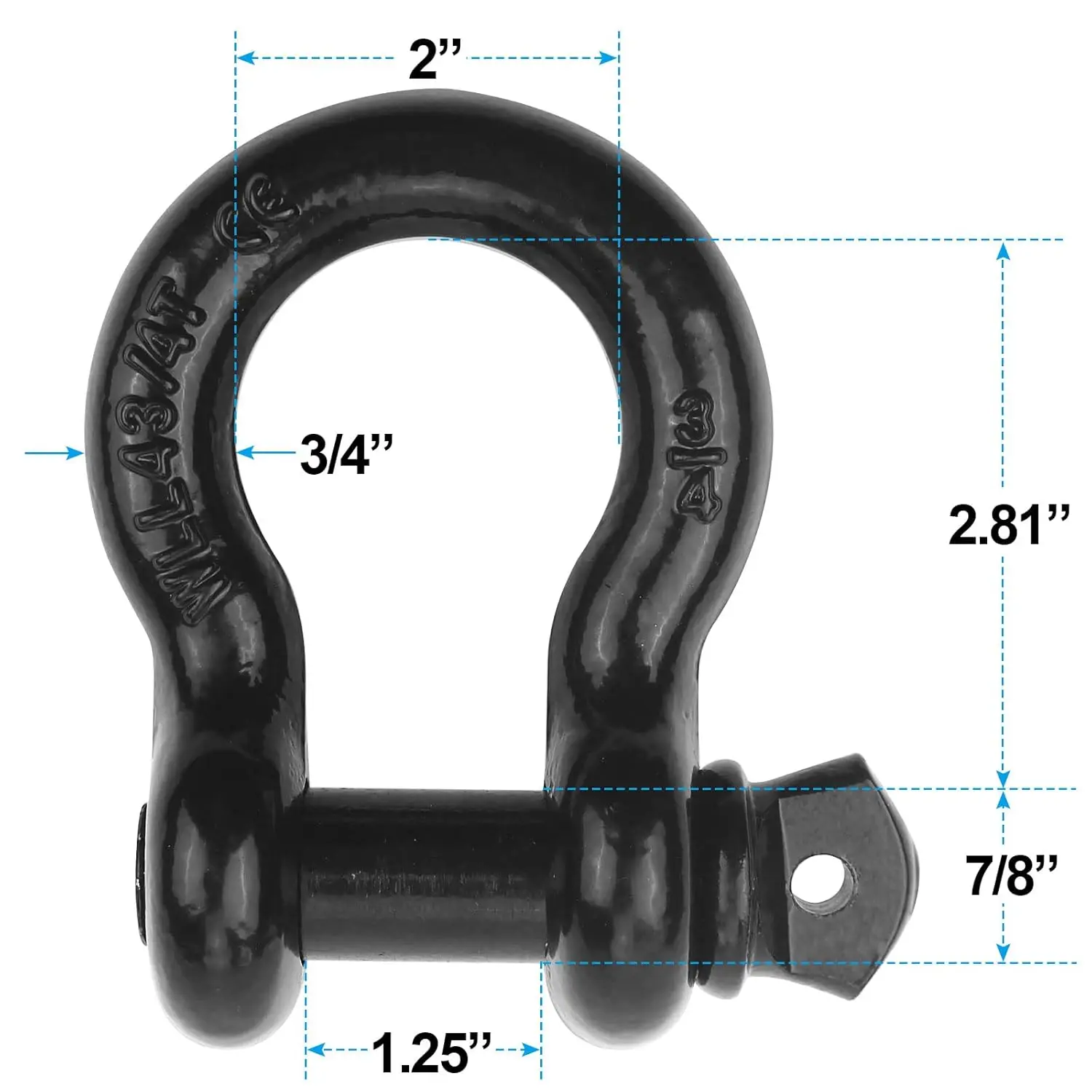 Shackles 3/4