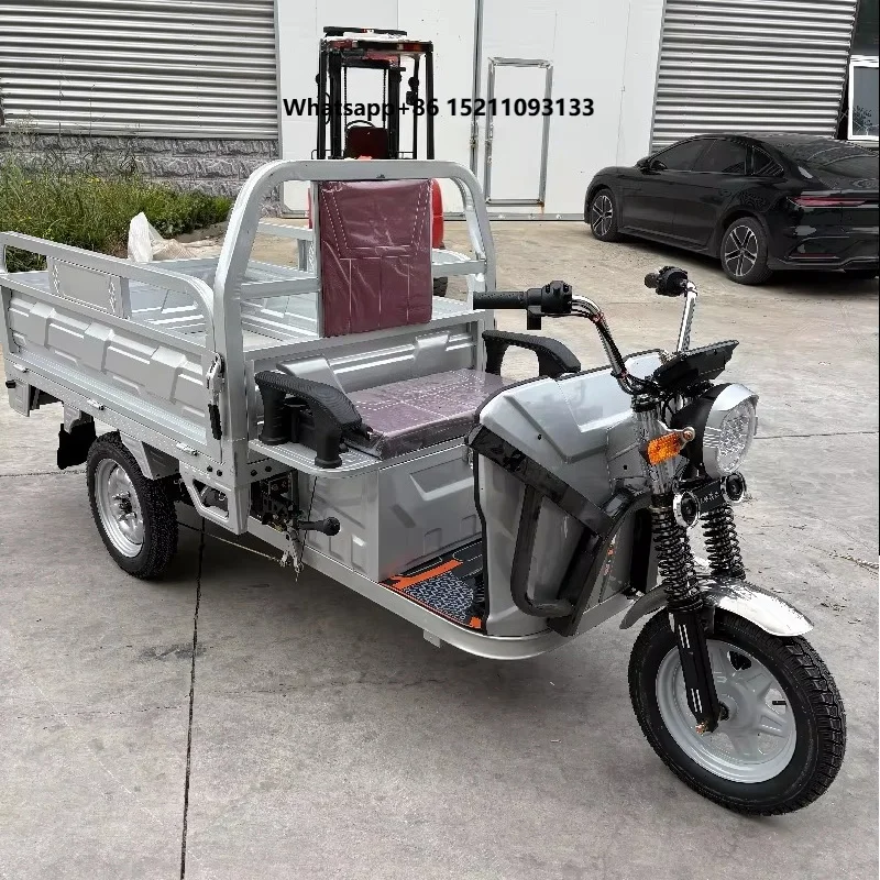Small Electric Three-Wheeled Cargo Motorcycle Tricycle 1000W 60V Open Adult 2 Passengers 400kg Payload