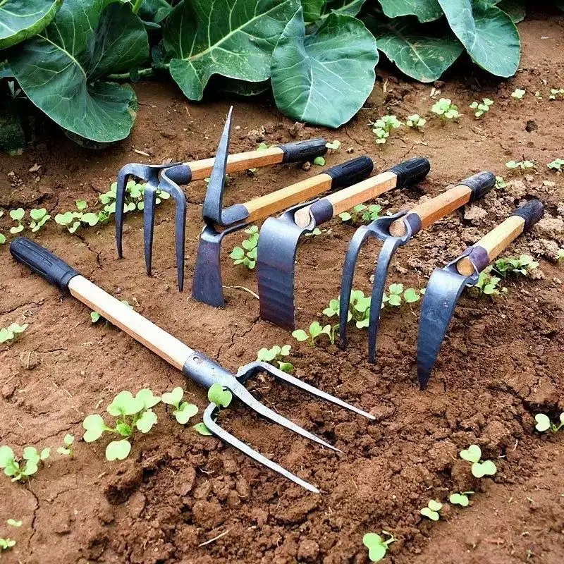 Small Hoe Mountain …