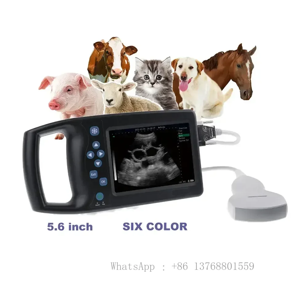 

B Mode Portable Handheld Vet Ultrasound Scanner Veterinary Ultrasonido For Farm Pig And Cow Animal