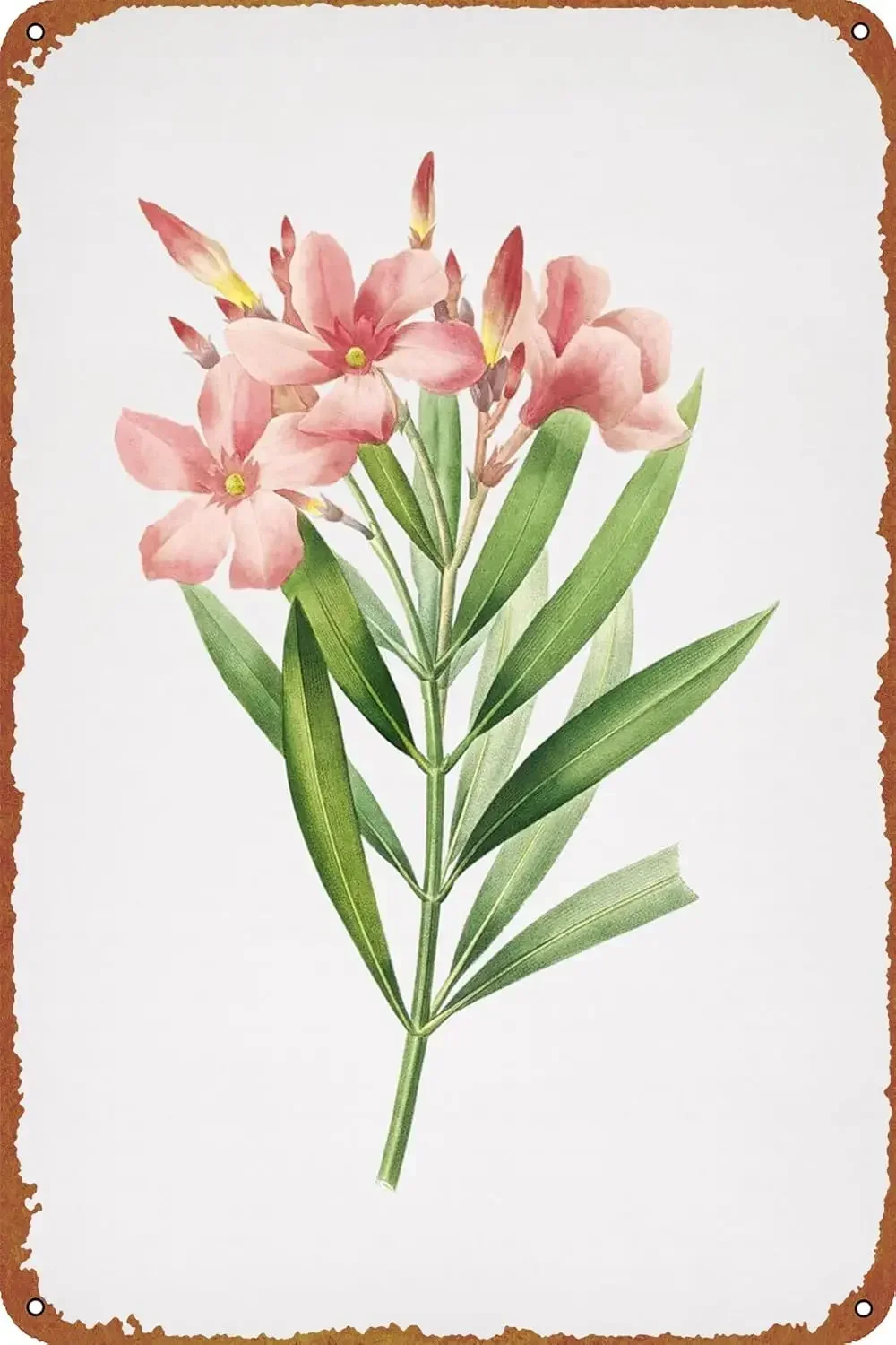 PóSter Vintage De F… - image