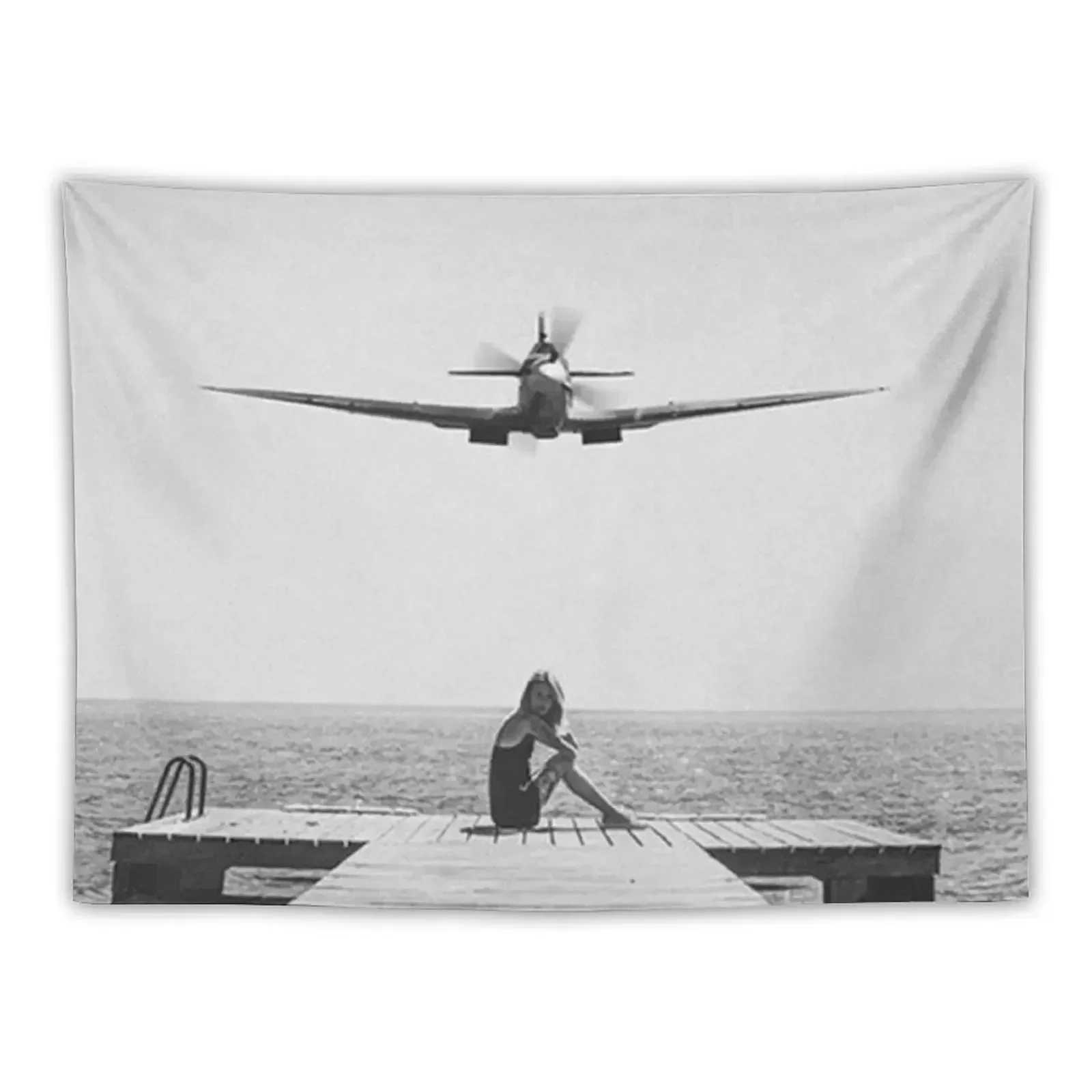 

Steady As She Goes; aircraft coming in for an island landing black and white photography- photographs Tapestry