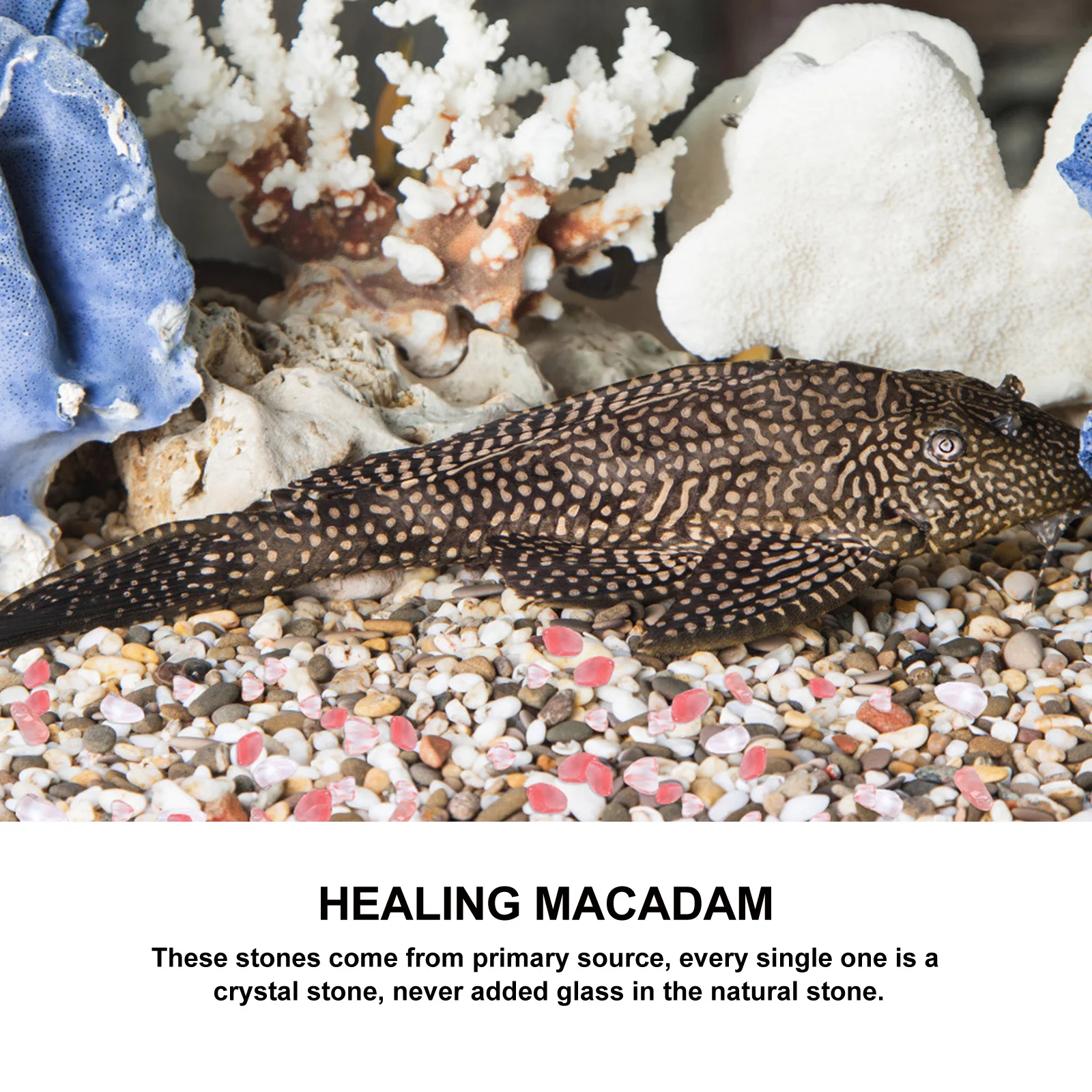 

100G 5-7Mm High Quality Natural Crystal Pebbles Reusable Decor for Flowerpots Landscaping Swimming Pools Pathway Driveway