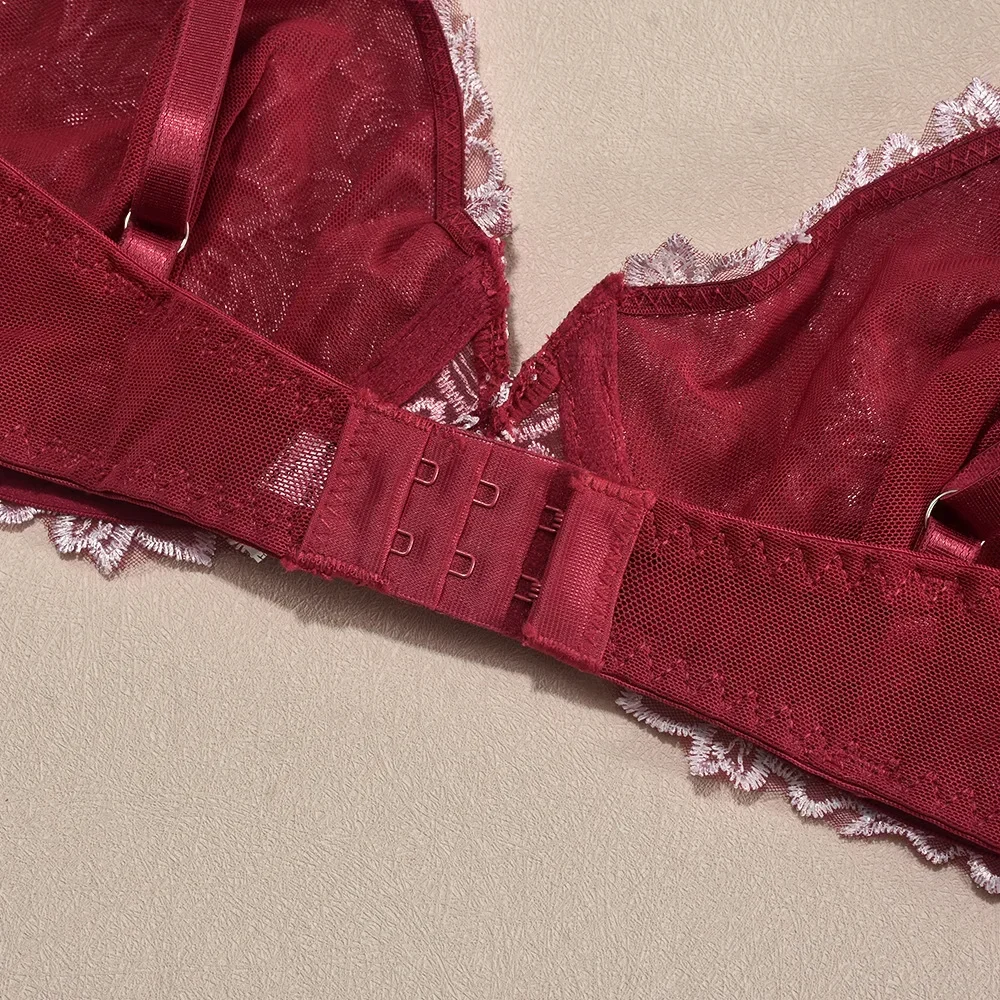 Set di lingerie velata con ricamo floreale Set di biancheria intima da donna in 2 pezzi con reggiseno trasparente + slip Intimo rosso per San Valentino