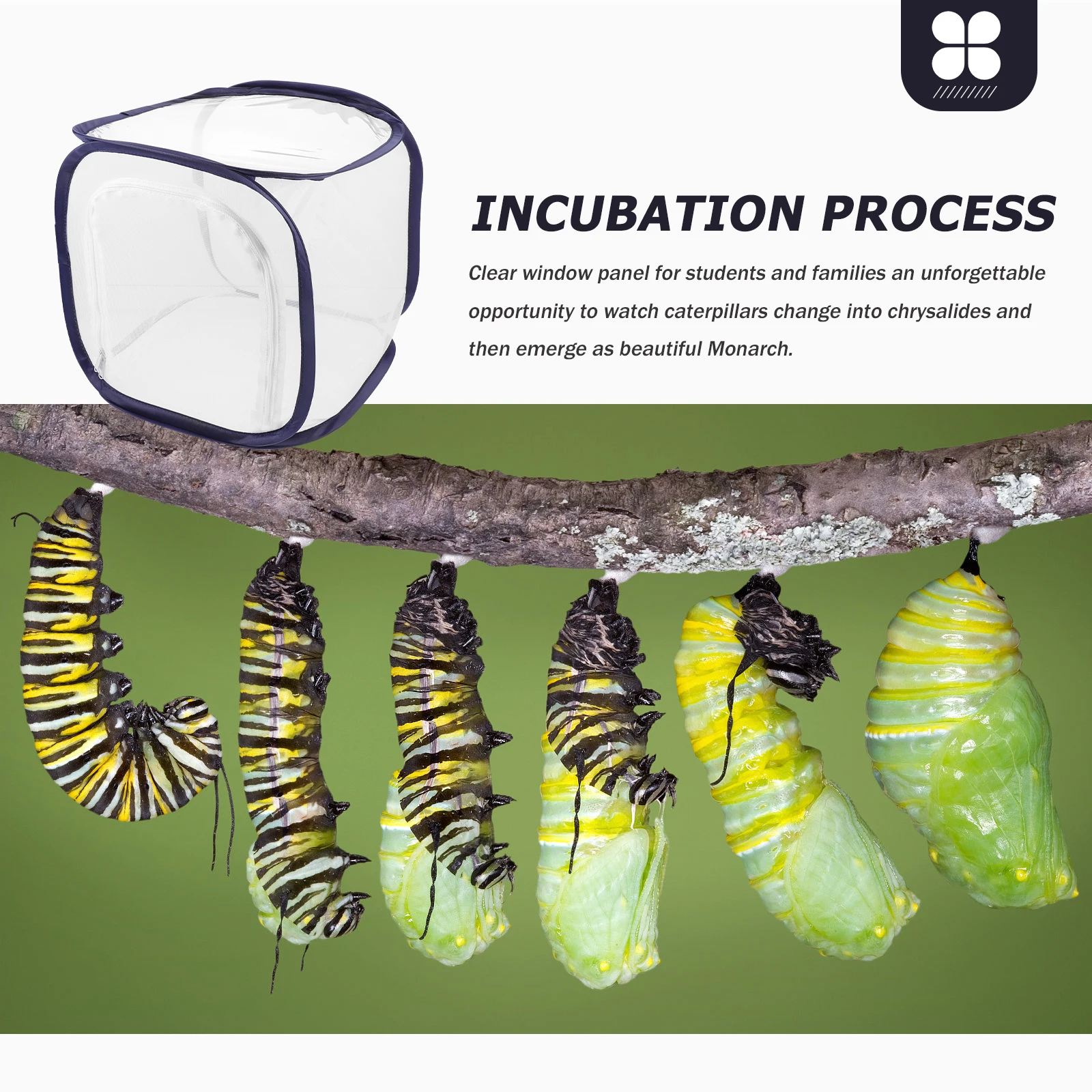 

Foldable Butterfly Cage Pest Control Net Pet Habitat Plant Greenhouse Monarch Caterpillar Protective Mesh Cover Large Zipper