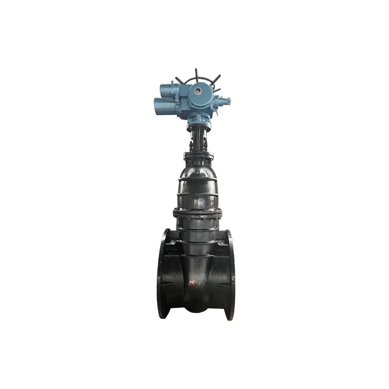 Large diameter electric wedge gate valve