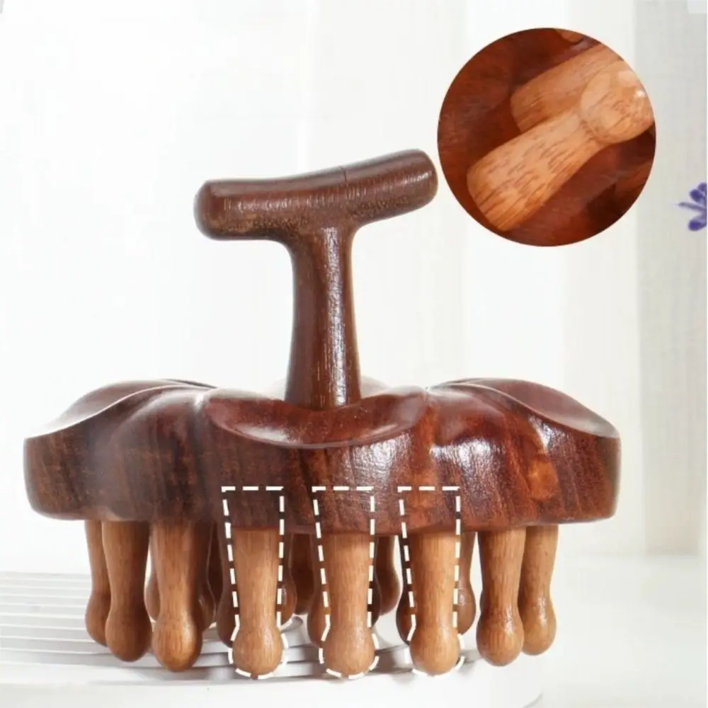 

Multi-Functional Therapy Massage Comb Circular Tooth Guasha Scalp Head Massager Sandalwood Petal Meridian Massage Comb Neck Nose