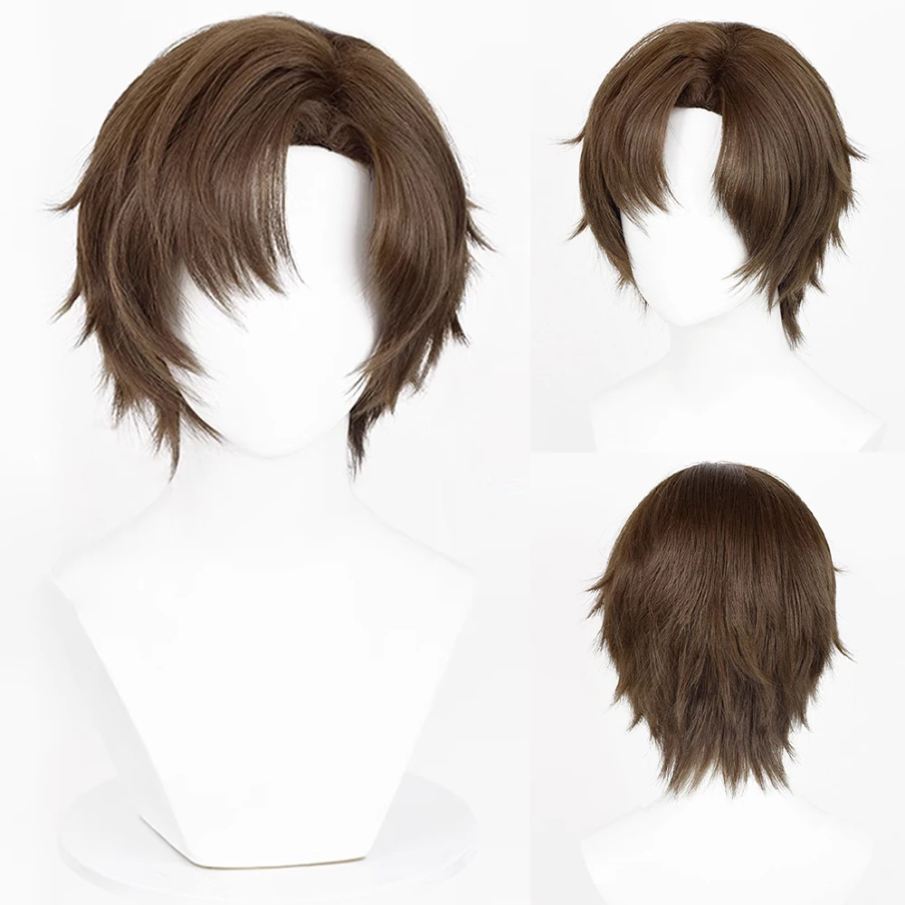 Brown Short Straight Synthetic Wig Middle Part Anime Game Cosplay Fluffy Men Wig for Daily Party