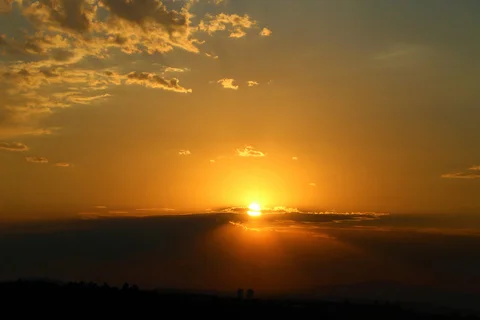 

4pcs 60mm Racing Tire with 14mm Wheel Hex for 1/10 Tamiya F1 RC Car Upgrade Parts