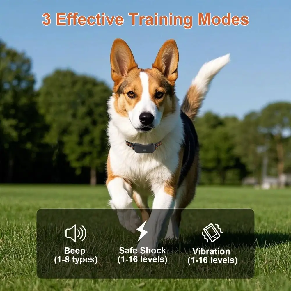 Rechargeable Dog Training Collar 3300 FT Remote Range with Remote Control Pet Electric Collar Color Screen IPX7 Waterproof