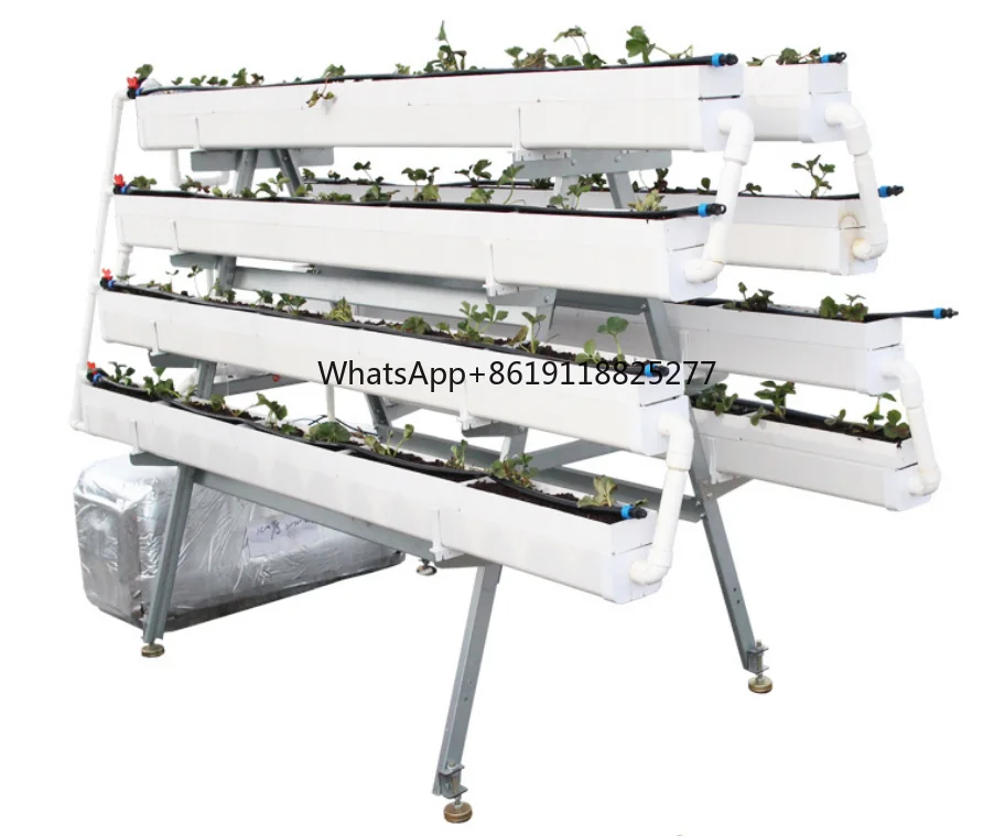 Inteligente Automático Hidropônico Crescer Kit, Sistema Interno, Equipamento De Horticultura Doméstica Para Plantas Hidropônicas Interiores