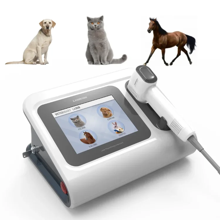 

Veterinary Laser Therapy Equipment Equine Laser Therapy Dog Laser Therapy