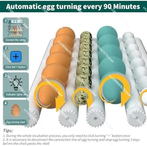 120 Automated Chicken and Quail Egg Incubators with 5 Hatching Modes