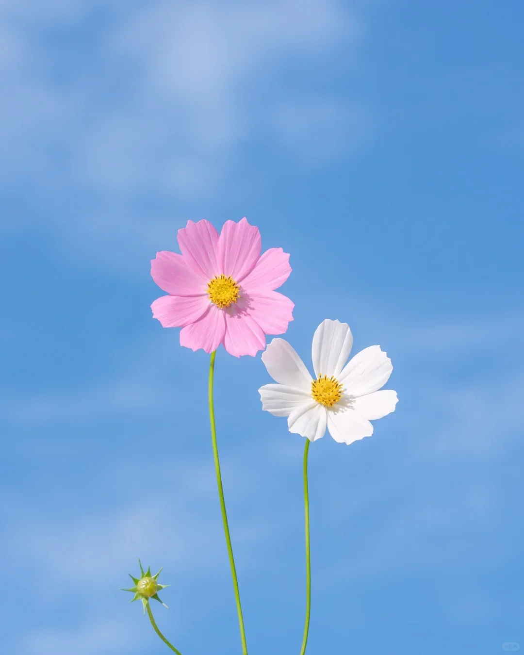 

10.0/6.0/3.0Ah Rechargeable Lithium Battery For Makita For Cordless Car Polisher Water Gun Angle Grinder Power Tool Batteries