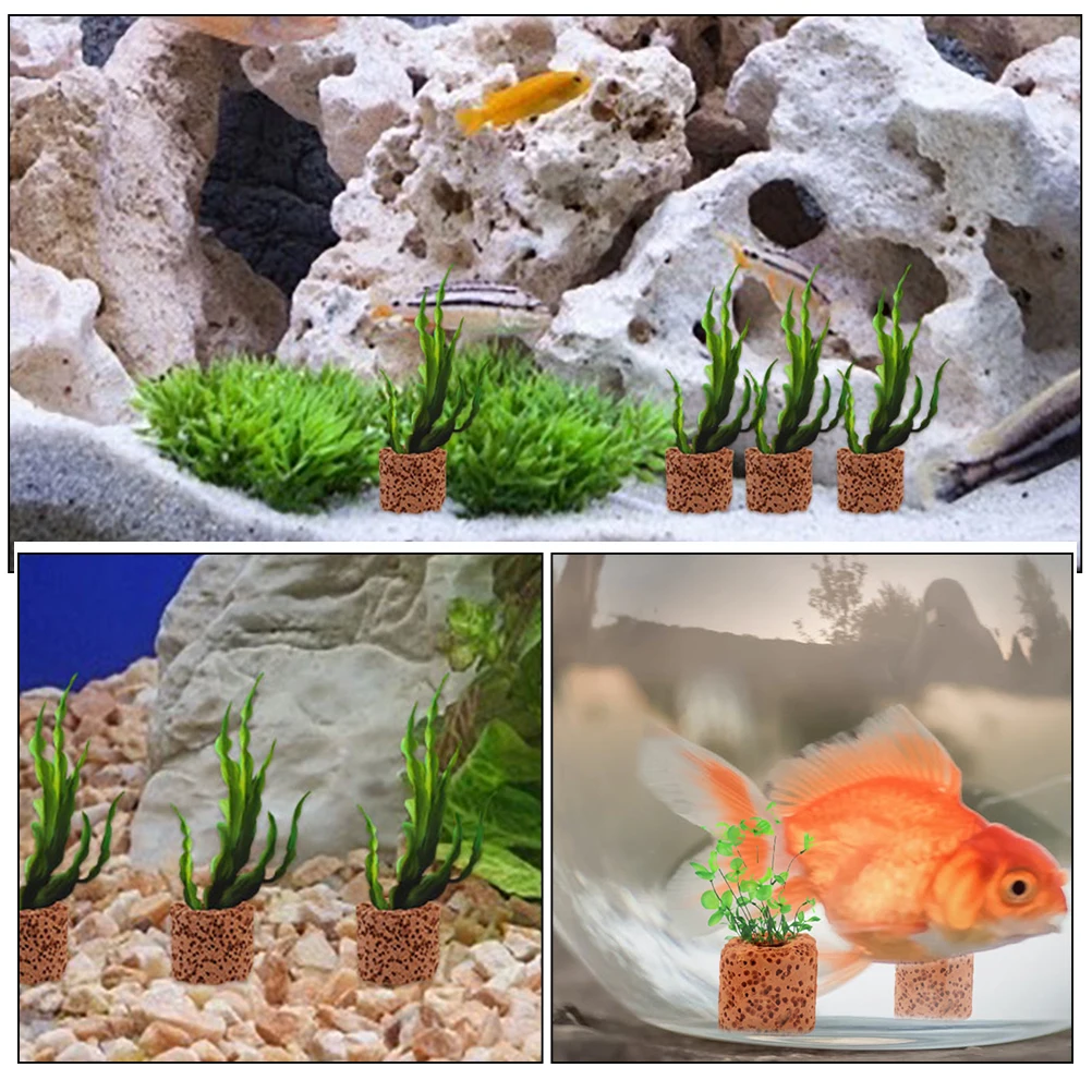 

40pcs Water Fixed Ring Aquarium Holder Heavy Aquatic Plant Fixed Cup Fish Tank Planting Tool Floating Plant Holder Fish Tank