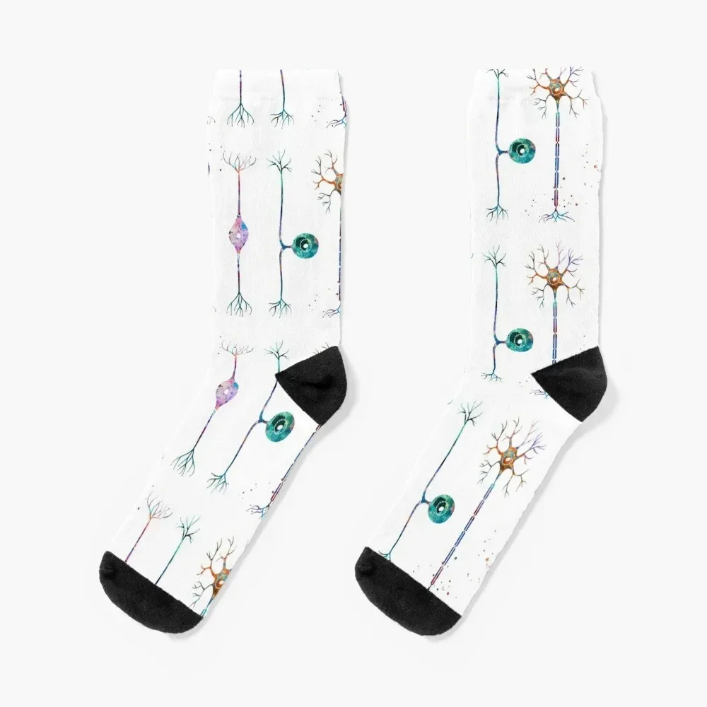 

Four Types of Neurons Socks aesthetic ankle crazy Socks Women's Men's