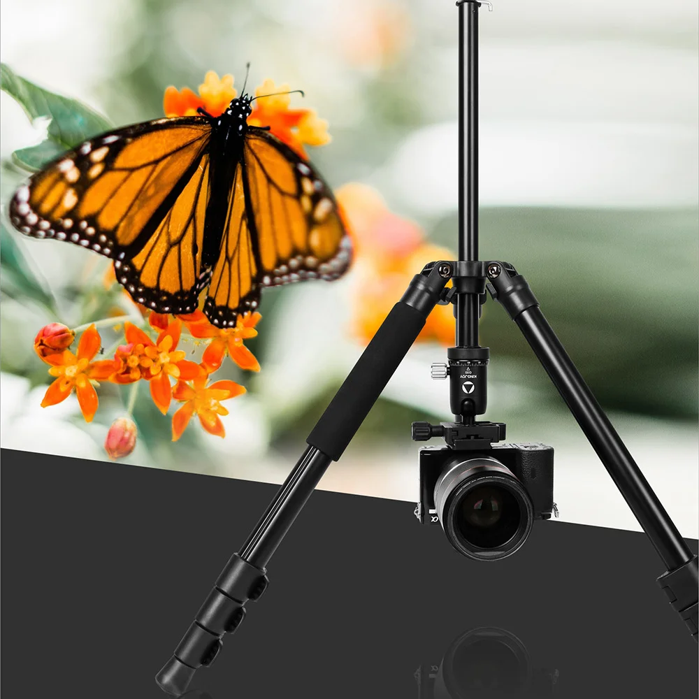 KINGJOY 61 Inch Camera Tripod for DSLR Portable Aluminum Travel Cellphone Tripe with 360 Degree Panorama Ball Head Quick Release