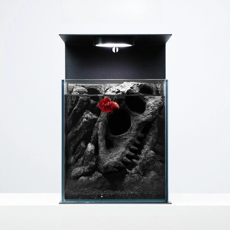

Tyrannosaurus rex micro-landscape fighting fish glass desktop small fish tank
