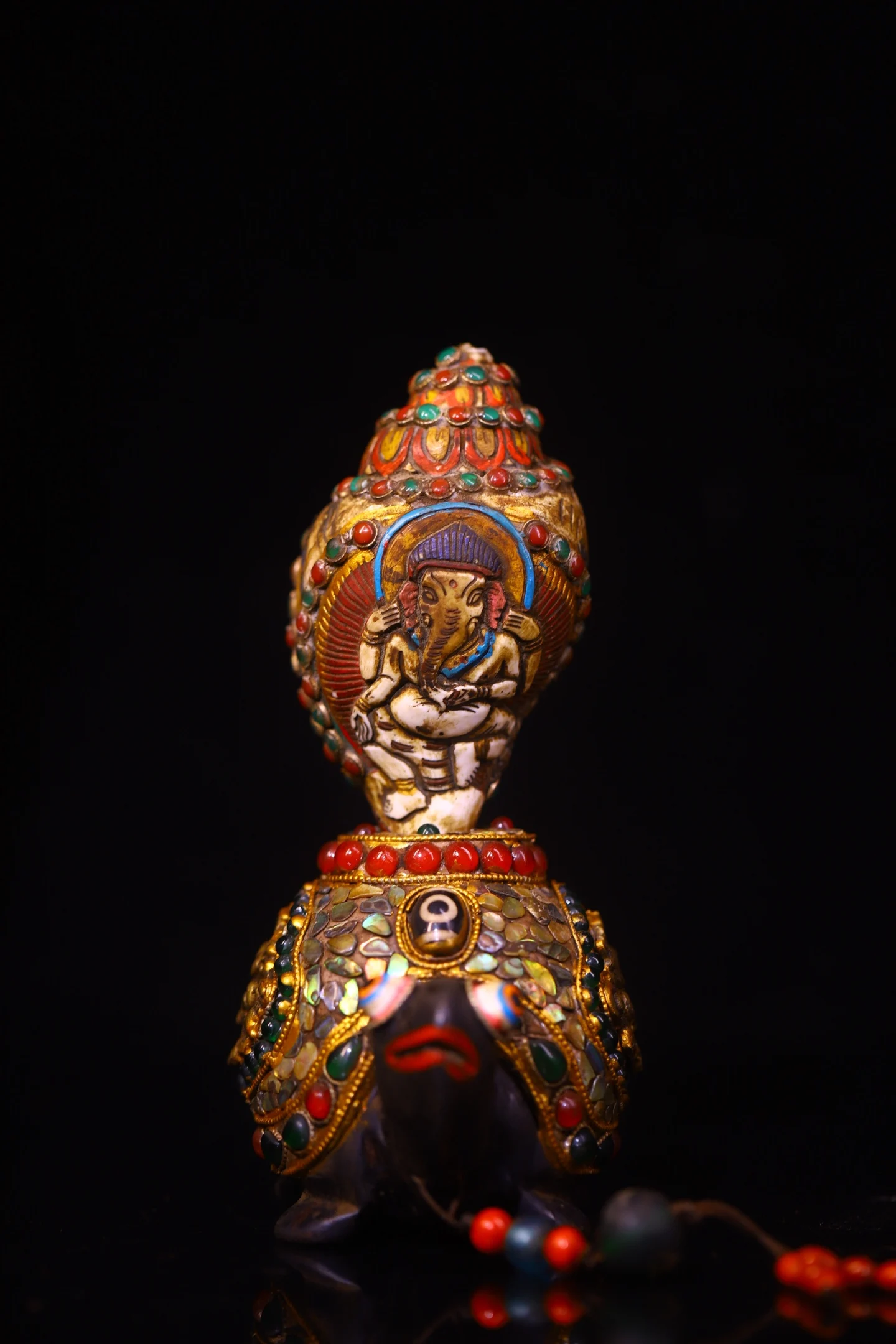 6"Old Natural Conch…