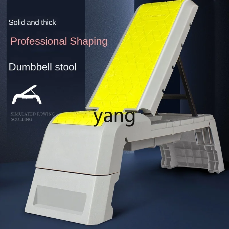 

LTT Bench Push Fitness Chair Multifunctional Roman Chair Folding Bird Chair Training Equipment