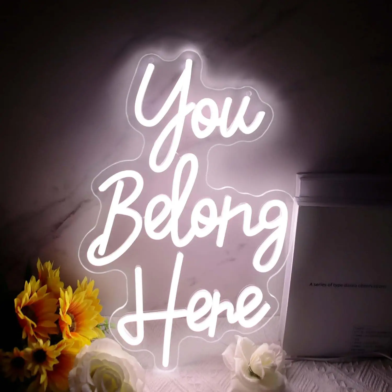 insegna-al-neon-you-belong-here-con-luce-led-dimmerabile-usb-per-camera-da-letto-salone-bar-aula-soggiorno-decorazioni-da-parete-per-feste-di-compleanno-regali
