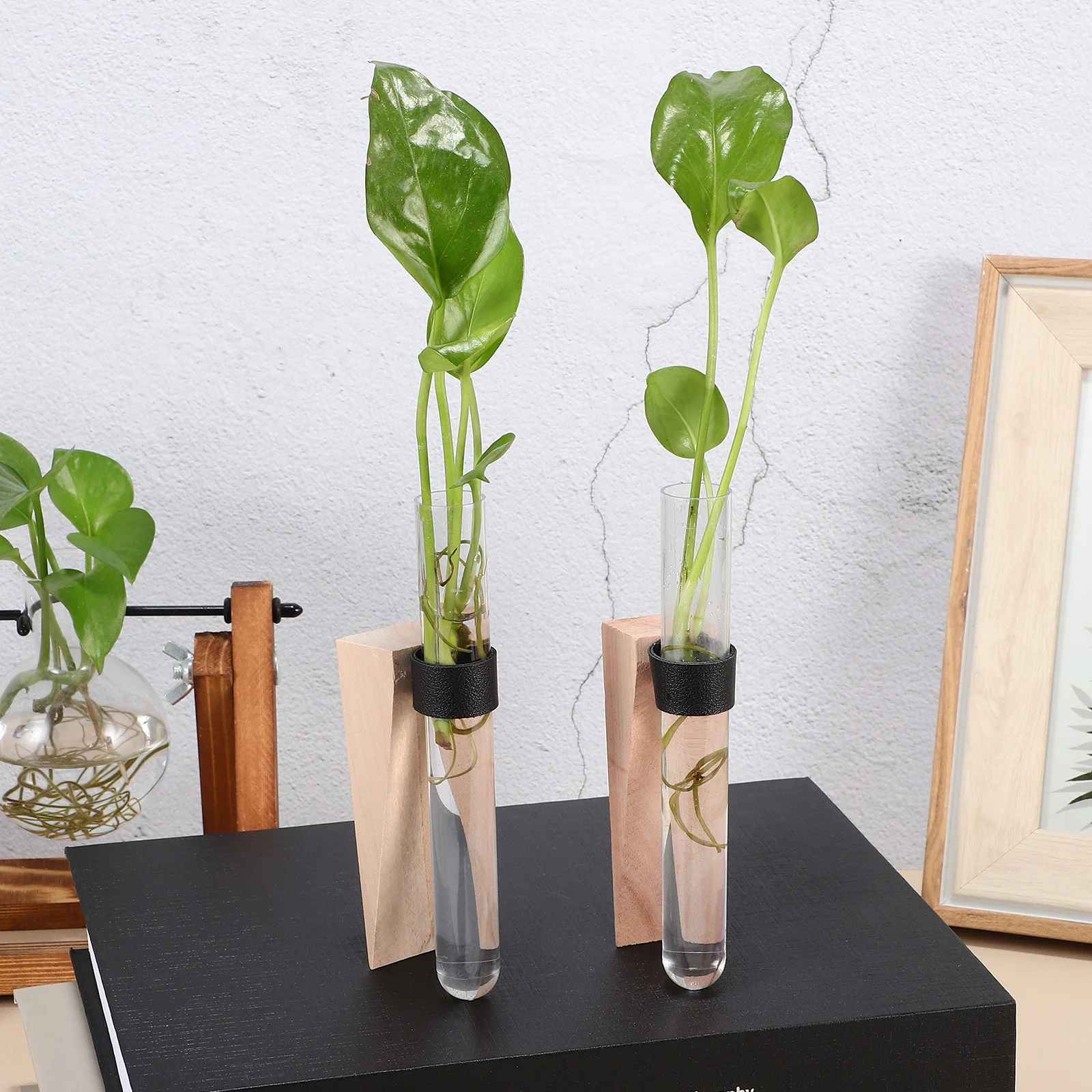 

2 set Water Propagation Vase Wall Hanging Plant Holder For Hydroponic Cuttings Indoor Decor Test Tube Station Plant