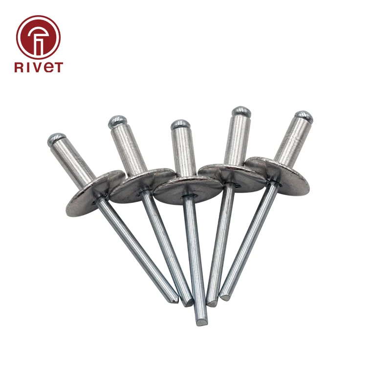 

100pcs Aluminum Large Flange Pop Open Hollow Blind Rivets Large Cap Leaf Bolt Dropper Self-plugging Rivet Decoration Pull Nail