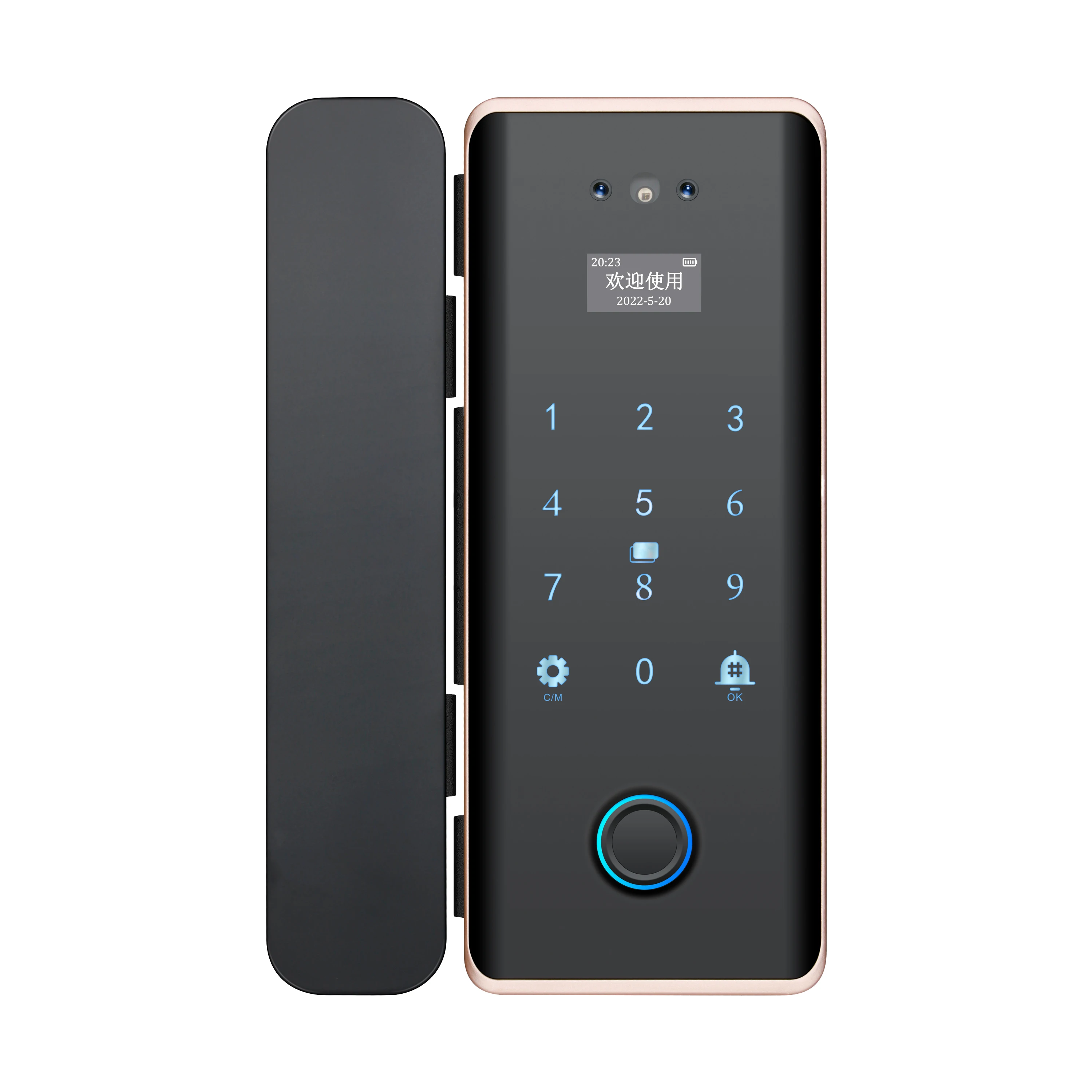 Tuya 3D フェイススマートガラスドアロックセキュリティカメラ顔認識指紋カードパスワード生体認証キーアプリロック解除