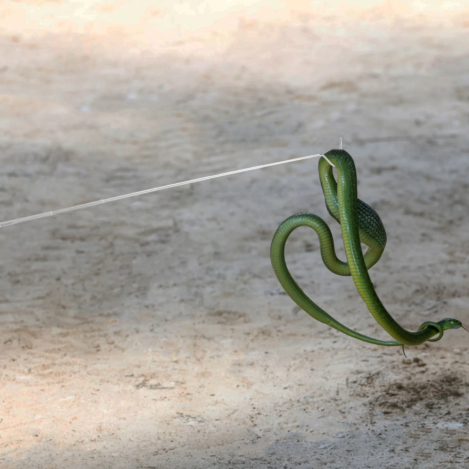 

Heavy Duty Adjustable Snake Catcher Tool with Long Handle Sturdy Wear Resistant Rust Proof for Outdoor Reptile Capture Use