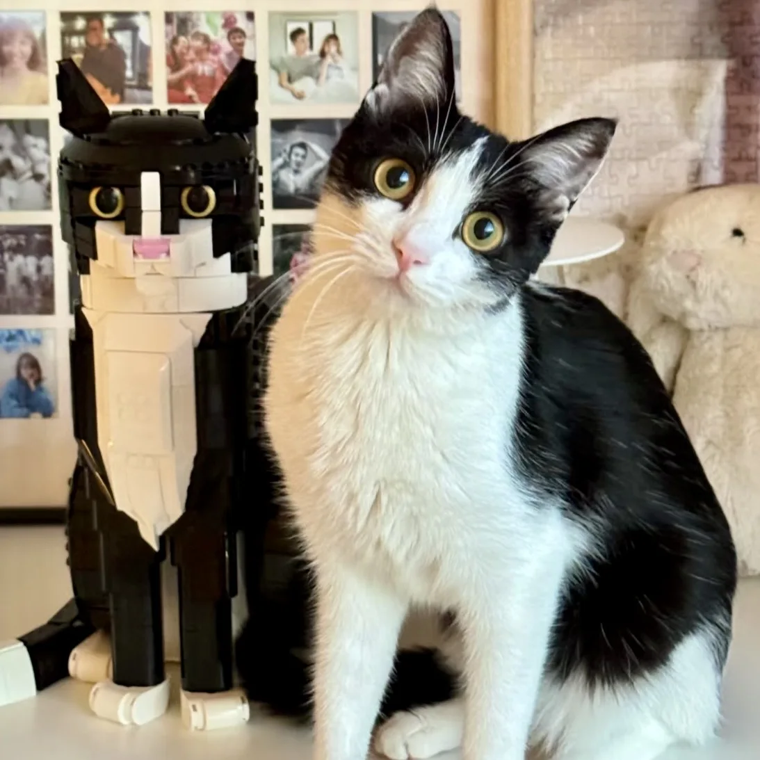 

MINISO Tuxedo Cat Building Blocks 21349 Cartoon Animal Assembly Toy Diy Educational Puzzle Toys Children's Gifts For Friends