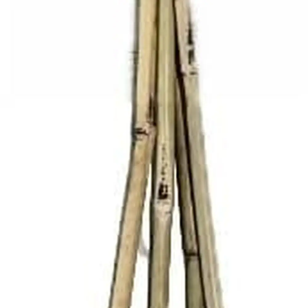

150-Piece 7-Foot Bamboo Plant Stakes for Outdoor and Indoor Garden Support