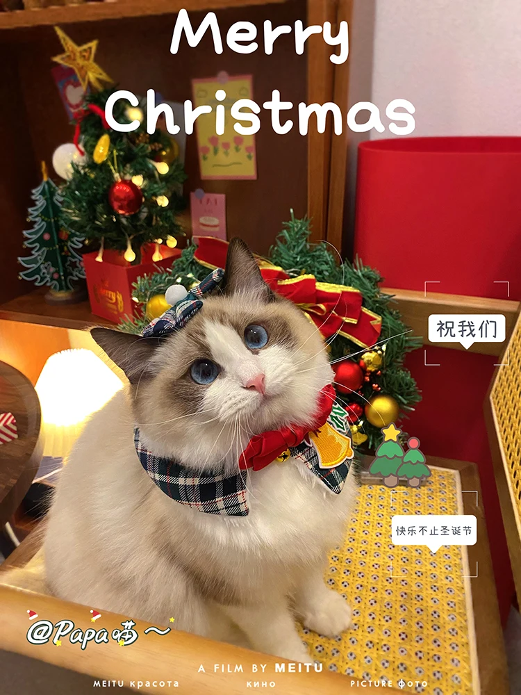 Pet Christmas New Year Cat Shawl Dog Clothes Autumn and Winter Scarf Cloak