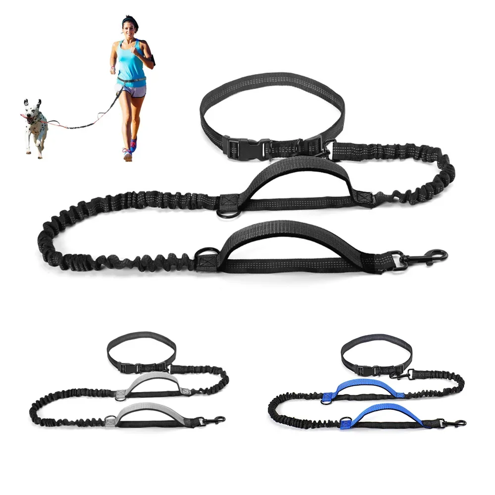 High Qulity Retractable Hands Free Dog Leash For Running Dual Handle Bungee Leash Reflective For Large Dogs Pet Supplies Dog kit