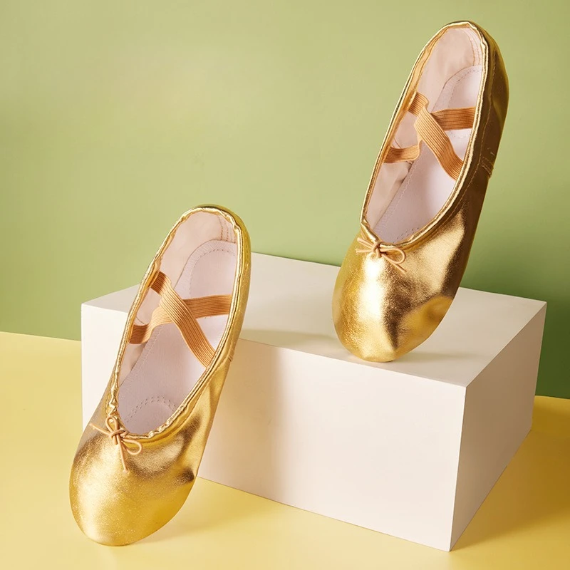 PU Buikdansschoenen Dansen Slippers Gymnastiek Goud Zilver Schoenen Voor Vrouw Meisjes Zachte Lace Up Ballet Dansschoenen